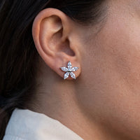 Thumbnail for Puces d'oreilles — gros plan sur les détails, argent | SKU: 419620-silver