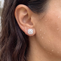 Thumbnail for Puces d'oreilles — gros plan sur les détails, argent | SKU: 505263