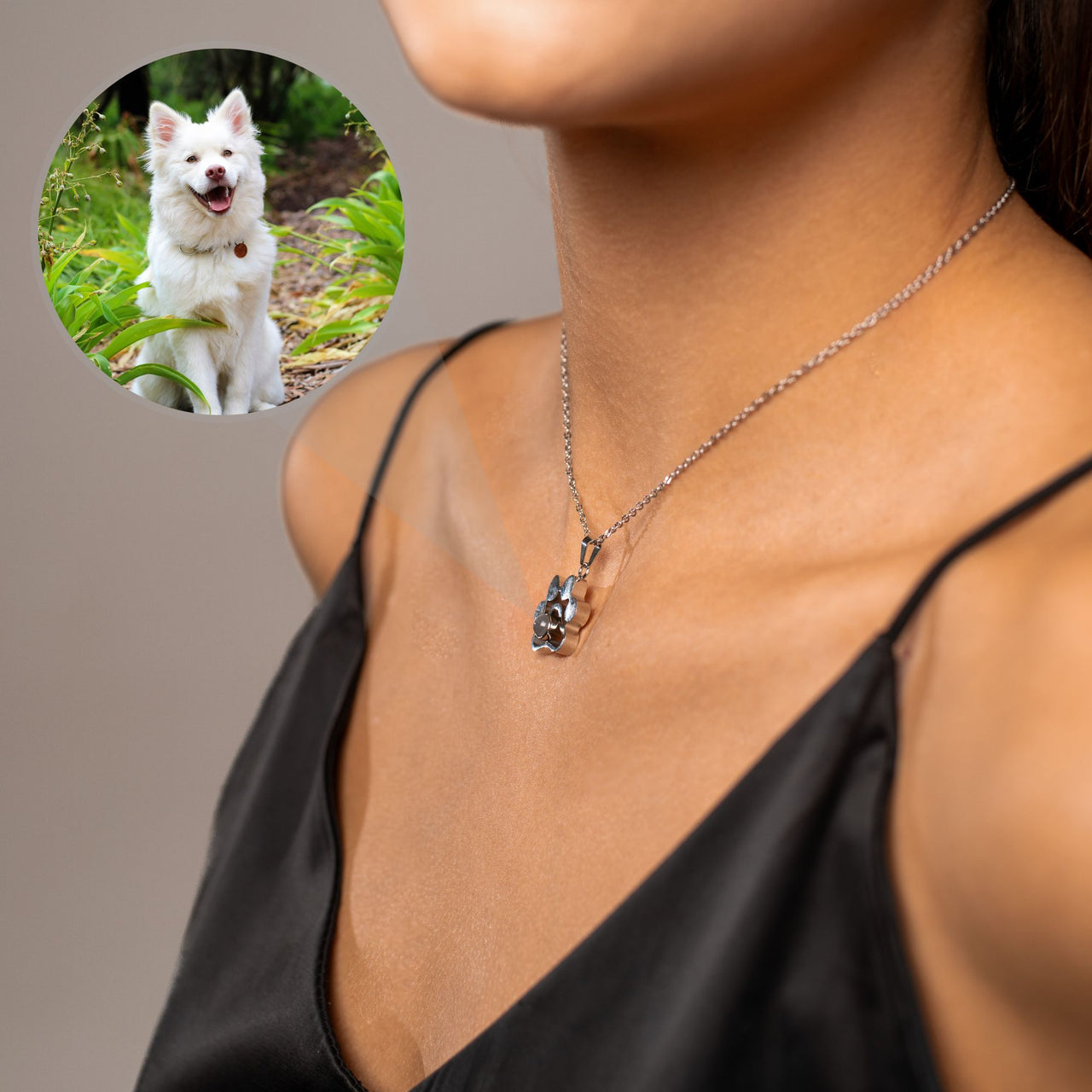 Collier Photo Animaux