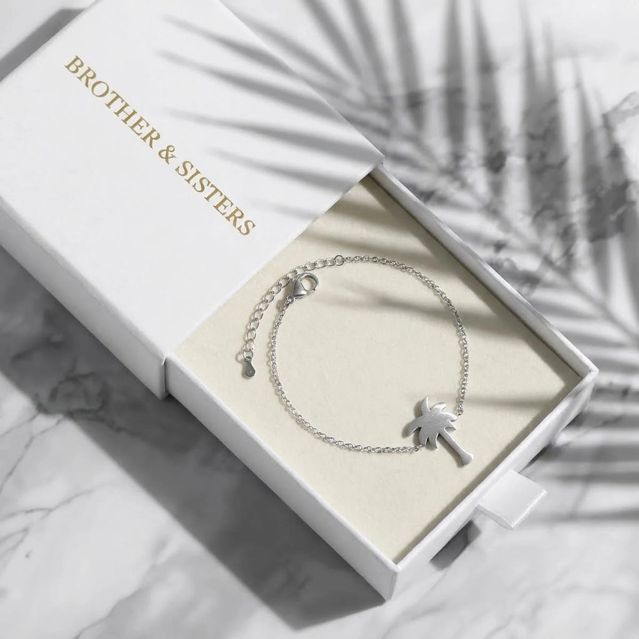Bijoux acier inoxydable — dans l'écrin cadeau, argent | SKU: 7819407-silver-plated
