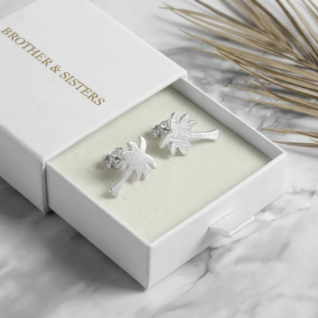 Bijoux acier inoxydable — dans l'écrin cadeau, argent | SKU: 10287609-silver-plated