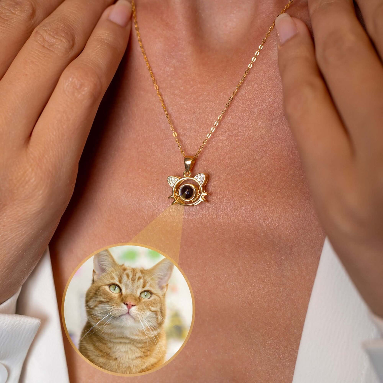 Collier Phosphorescent Personnalisé Pour Chat - Avec Nom Et Téléphone - Boucle Dégagement Rapide - Réglable 20-28,7 Cm
