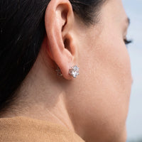 Thumbnail for Puces d'oreilles argent — gros plan sur les détails, argent | SKU: 5056659